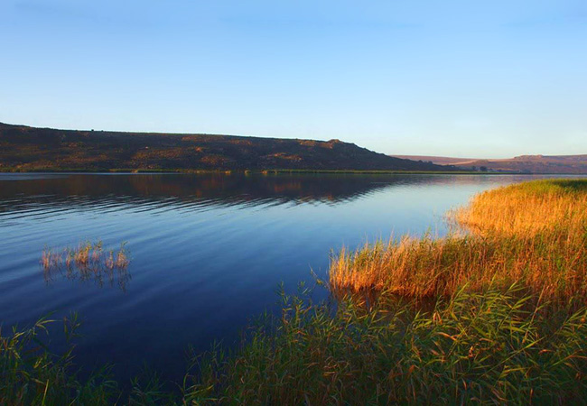 Verlorenvlei