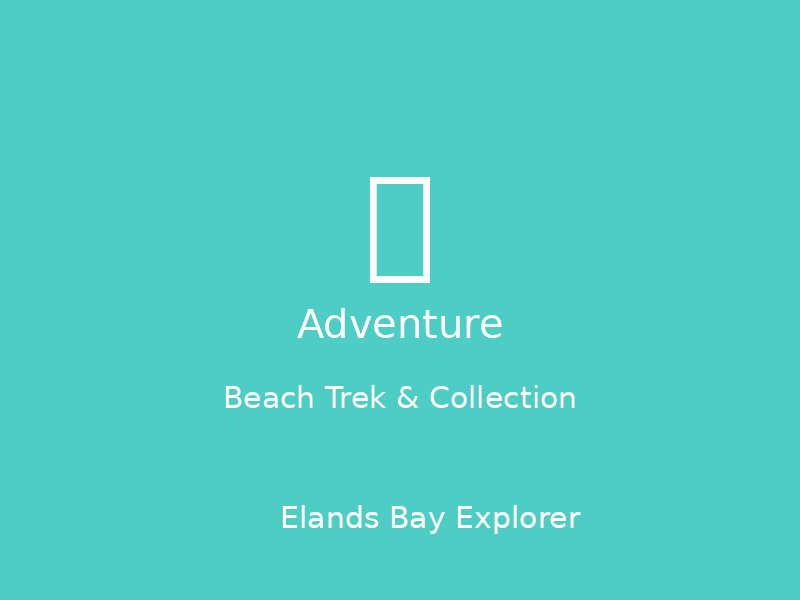 Beach Trek & Collection