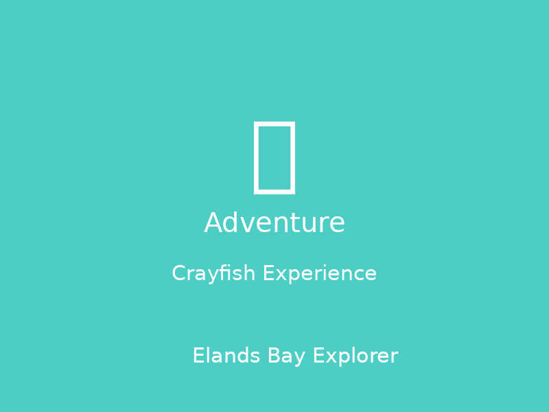 Crayfish Experience