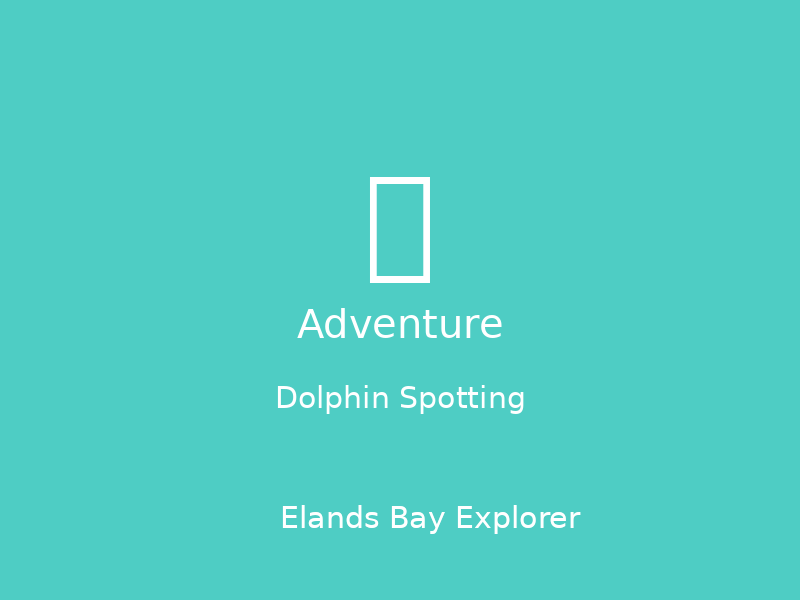 Dolphin Spotting