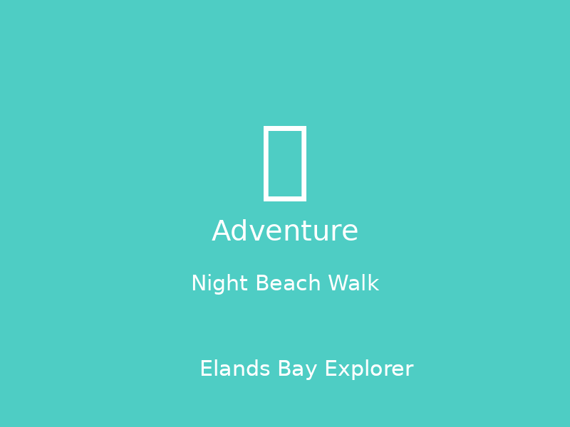 Night Beach Walk