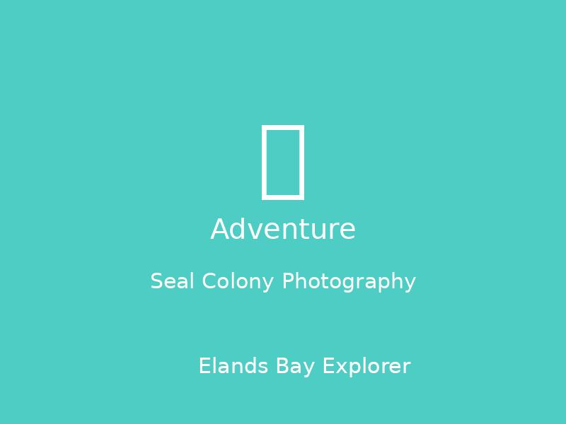 Seal Colony Photography