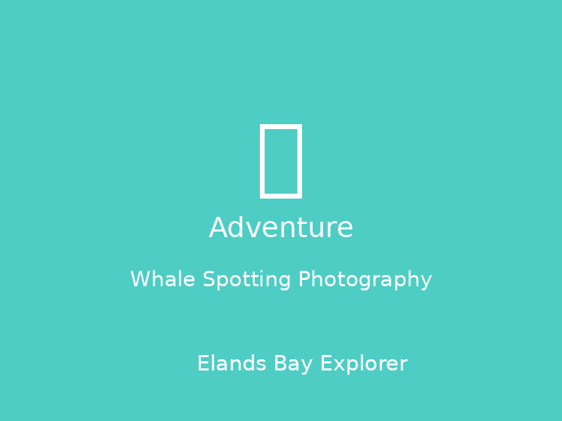 Whale Spotting Photography